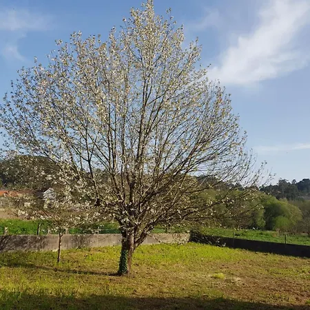 Casa La Porrinesa Holiday home